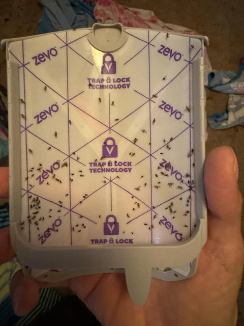 Review Card